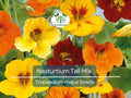Nasturtium Seeds Tall Mix – Edible Flowers, Vibrant Colors, Heirloom Non-GMO, Garden & Culinary Use, 25 Seeds