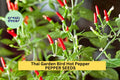 Thai Bird Chili Seeds – 3 Pack, Spicy Capsicum annuum Prik Phao Peppers for Hot Sauces & Container Gardening