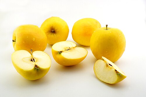 Super Rare Opal Apple Cuttings – 3 Scions for Rooting Grafting Malus domestica ‘Opal’ Yellow Sweet Crisp Fruit