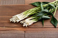 Onion Tokyo Long Bunching Seeds | Japanese Green Onion, Non-Bulbing, Mild & Fast Growing | Allium Fistulosum