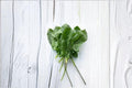 Spinach Seeds – Viroflay French Heirloom, Large Smooth Leaves, Cold Hardy, Vegetable Garden, Spinacia oleracea