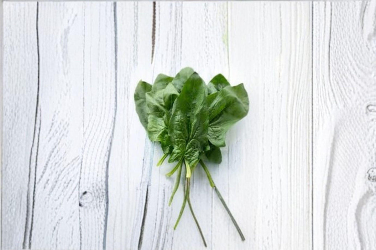 Spinach Seeds – Viroflay French Heirloom, Large Smooth Leaves, Cold Hardy, Vegetable Garden, Spinacia oleracea