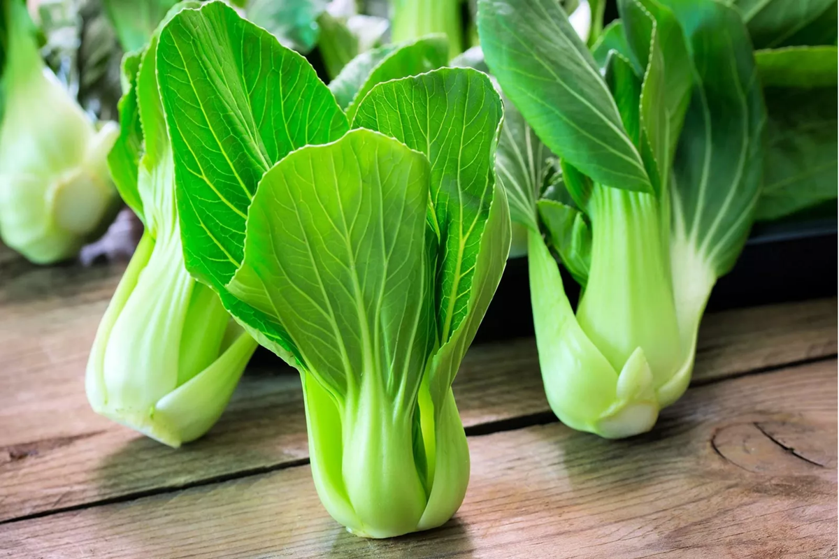 Pak Choi Seeds - Sweet Variety, Non-GMO Chinese Brassica rapa var. chinensis for Home Garden