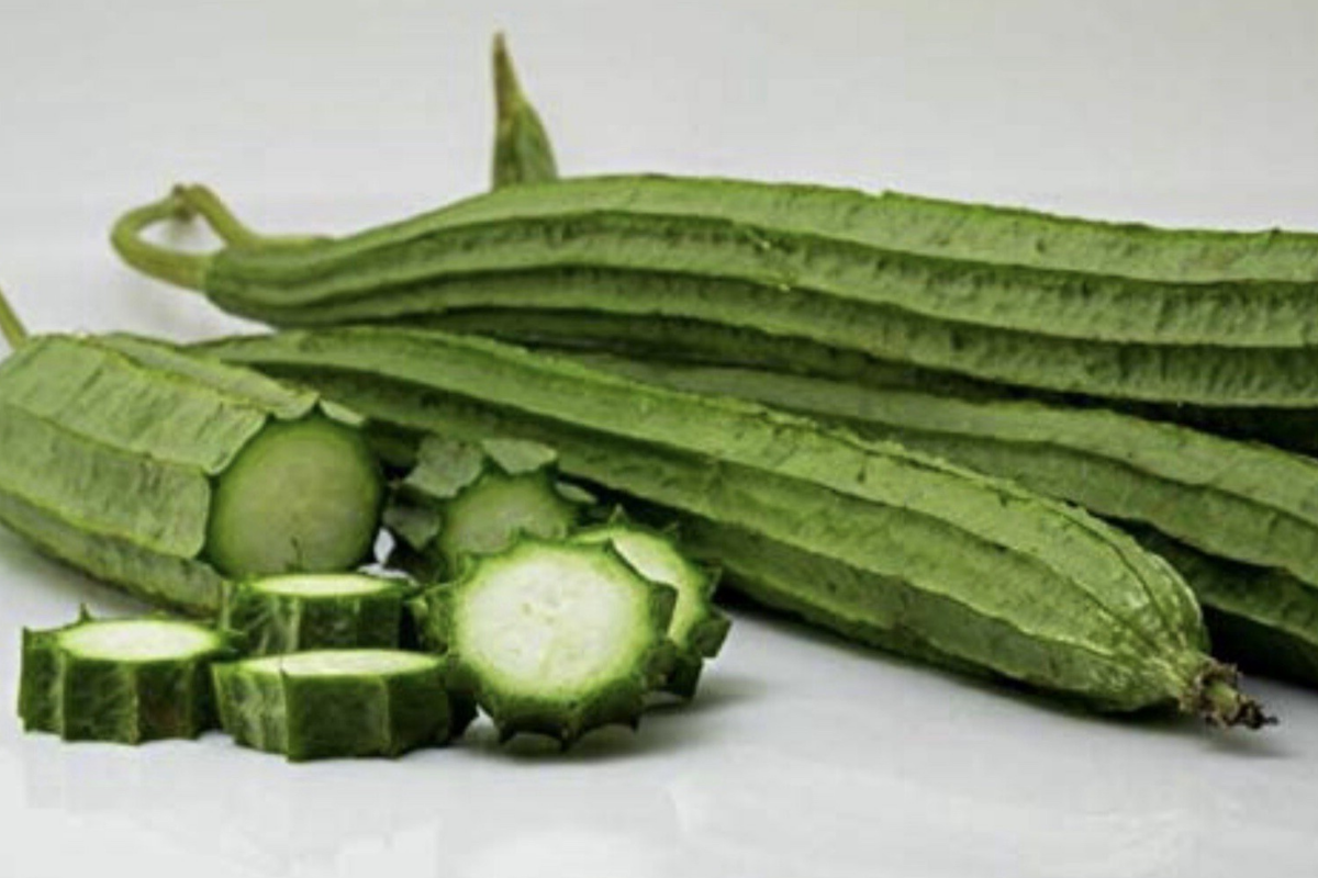 Ridged Sponge Gourd Seeds - Chinese Okra Angled Luffa Gourd, Climbing Vine, Luffa acutangula, Natural Sponge, Home Garden Plant