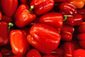 California Wonder Sweet Bell Pepper Seeds – Heirloom, 30 Seeds, Capsicum annuum, Large Blocky Peppers, Sweet Flavor, Easy to Grow