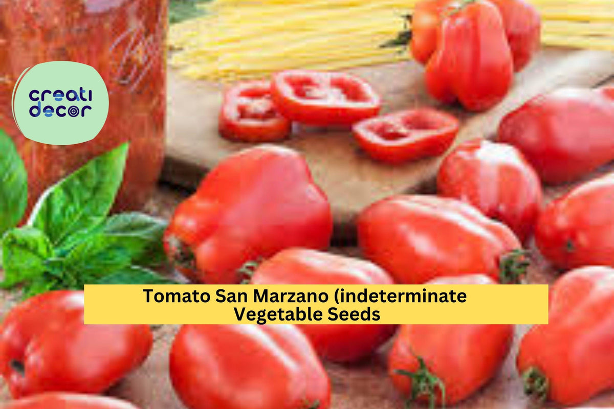 San Marzano Tomato Seeds – 3 Packs of 100mg, Heirloom Indeterminate, Italian Sauce Tomatoes, Solanum lycopersicum