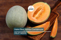 Hales Best Jumbo Cantaloupe Seeds – Non-GMO Heirloom Melon for Home Garden, Sweet & Juicy Cucumis melo