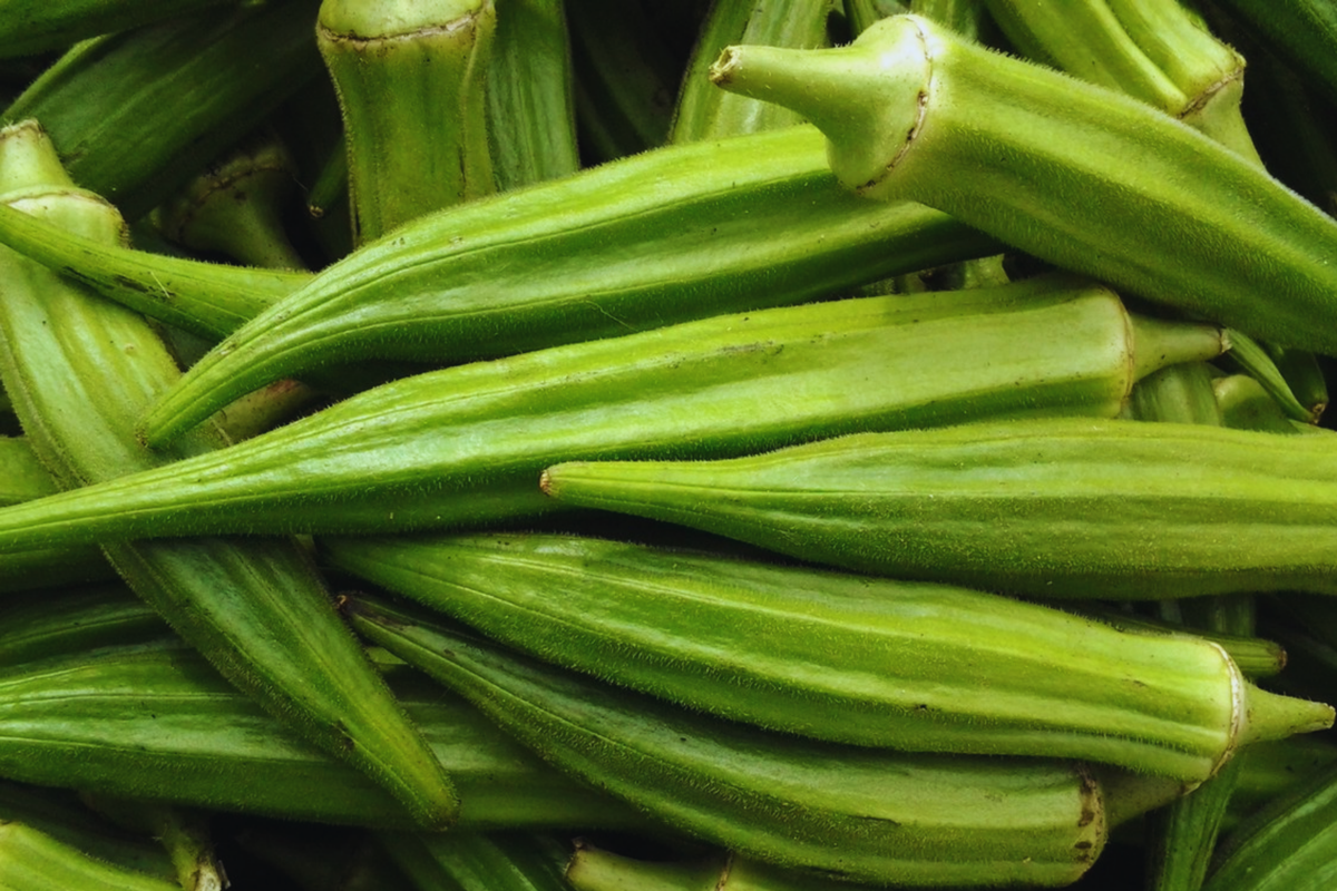 Clemson Spineless Okra Seeds 1 oz, Lady's Fingers, Gumbo, Abelmoschus esculentus, Garden Planting Seeds