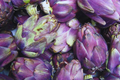 Purple Romagna Artichoke Seeds | Heirloom Non-GMO | Vibrant Purple | Cynara scolymus