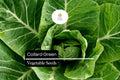 Organic Collard Greens Seeds - Heirloom Brassica oleracea for Cool Season Gardens, Leafy Green Vegetables, Home Garden Planting