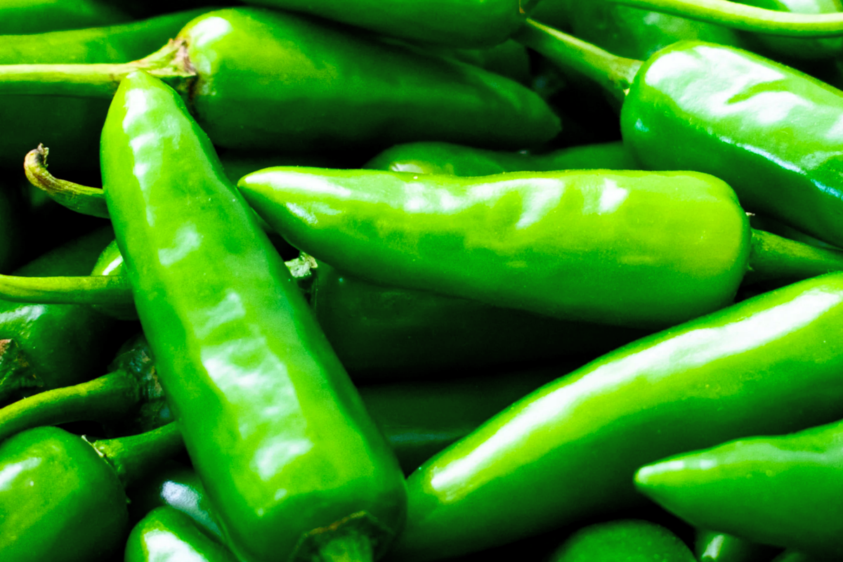 Anaheim Hot Pepper Seeds, Green Chili, Capsicum annuum, Non-GMO, Spicy Garden Seeds for Salsas & Cooking