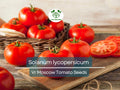 VR Moscow Tomato Seeds 100mg Heirloom Solanum lycopersicum Disease-Resistant for Slicing & Gardening