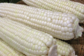 Organic White Sticky Waxy Sweet Corn Seeds | NON-GMO Heirloom Zea mays | Garden Seed for Full Sun, Tall Plants