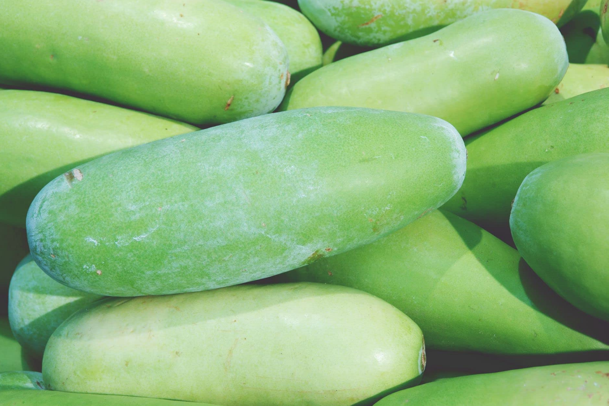 Black Skin Winter Melon Seeds, Non-GMO, Benincasa hispida, Vining, Dark Skin Variety