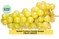 Cotton Candy Grape Seeds – 12 Rare Fruit Seeds for Planting, Sweet & Juicy Vitis vinifera, Edible Landscaping, Backyard Garden