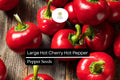 Large Hot Cherry Pepper Seeds | Non-GMO Capsicum annuum for Pickling, Stuffing & Cooking | Medium-Hot, Bright Red