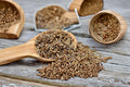 Caraway Seeds Bulk Pack | Culinary Herb | Aromatic Biennial Plant | Carum carvi Spice Seeds for Herb Gardens