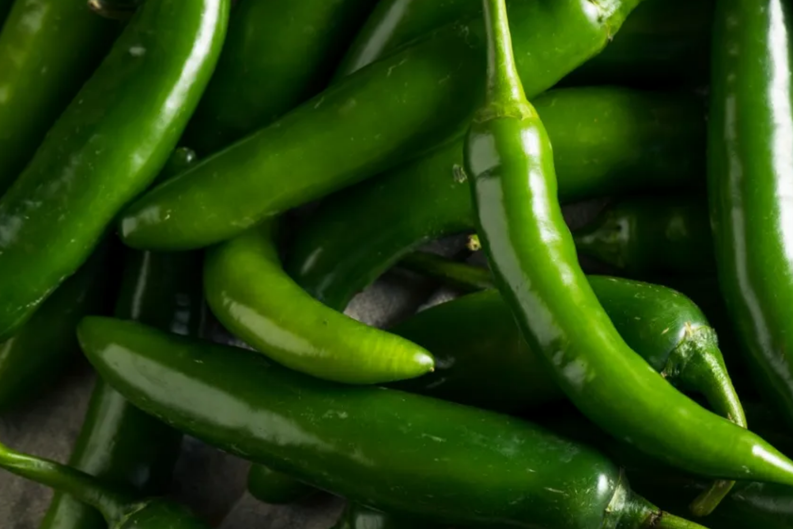 Hybrid Long Green Chili Seeds - Non-GMO, Capsicum annuum, Spicy, Full Sun, Vegetable Garden, Pack of 50 Seeds