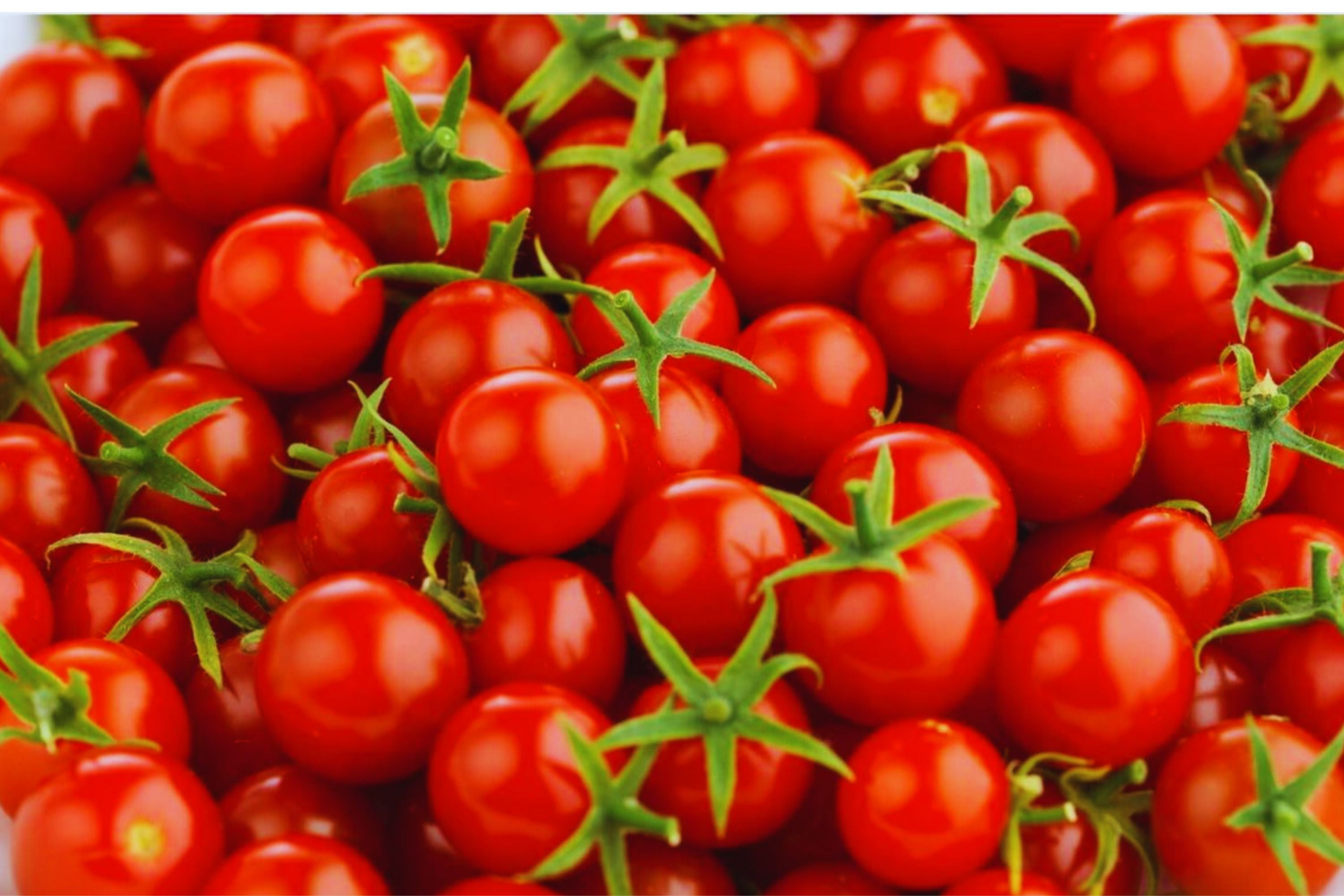Large Red Cherry Tomato Seeds - Heirloom Solanum lycopersicum, 100+ Juicy, Sweet Tomato Seeds for Garden & Container Planting