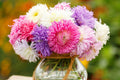Giants of California Aster Seeds | Pink, Purple, White Blooms | Callistephus chinensis | Non-GMO Cut Flowers, Pollinator-Friendly