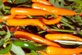 Golden Cayenne Hot Pepper Seeds – Non-GMO Capsicum annuum, Vibrant Golden-Yellow Chili Pepper Seeds
