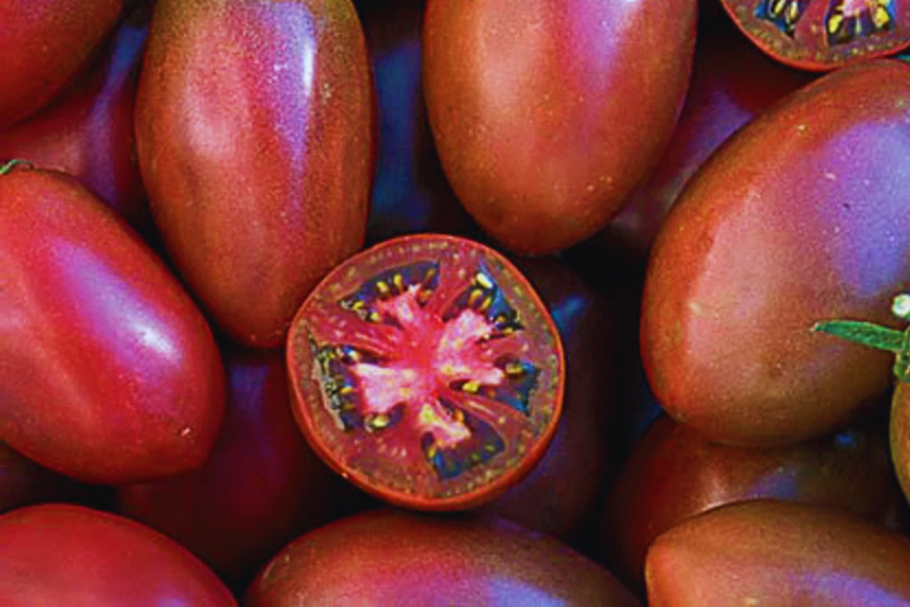 Ukrainian Purple Tomato Seeds, Grape Variety, Non-GMO, Heirloom, Solanum lycopersicum