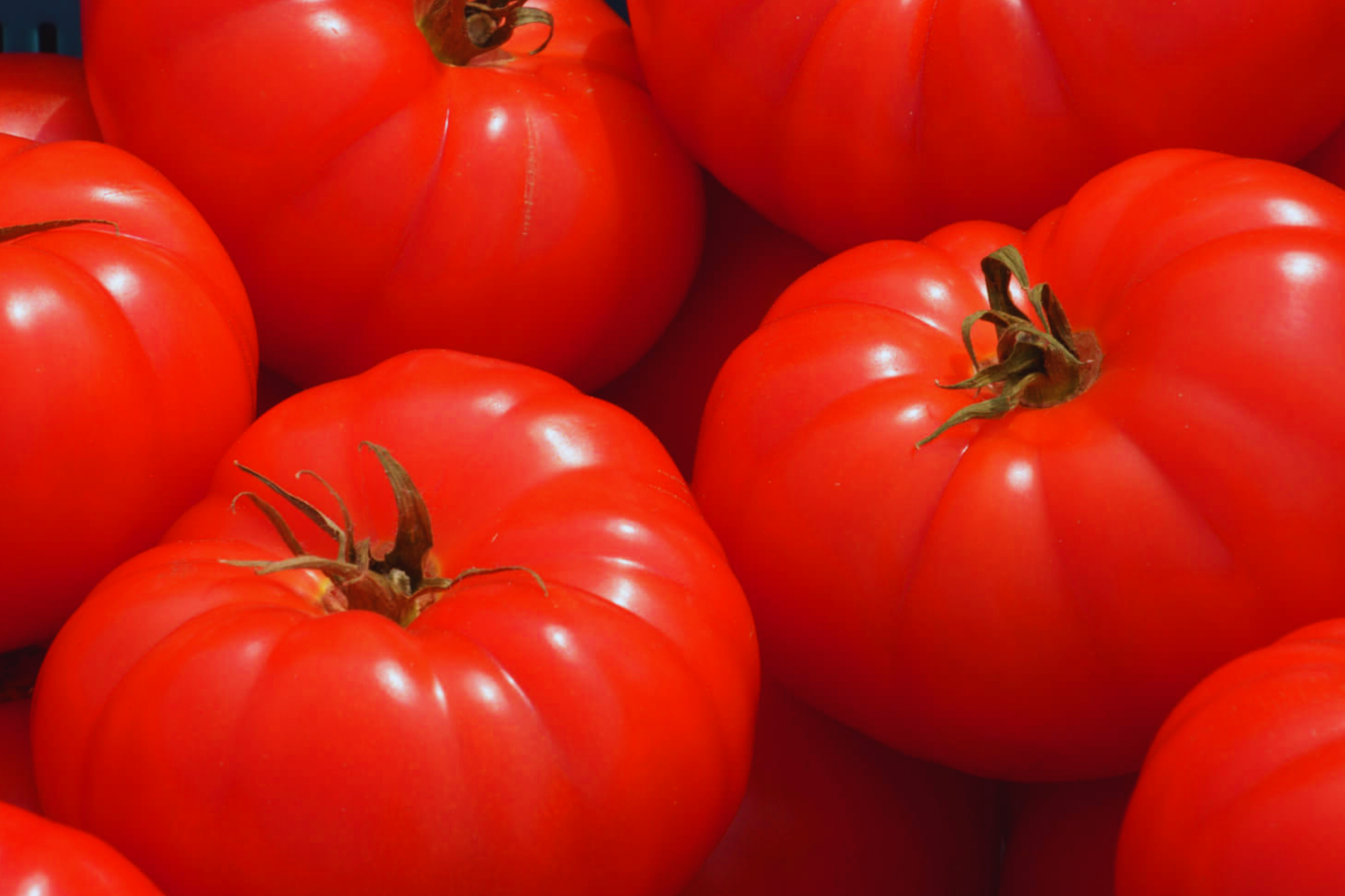 Beefsteak Tomato Seeds Non-GMO Heirloom Solanum lycopersicum Vegetable Seeds