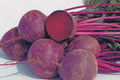Bulls Blood Beet Seeds | Organic Non-GMO Beta vulgaris Heirloom Vegetable Seeds for Gardening