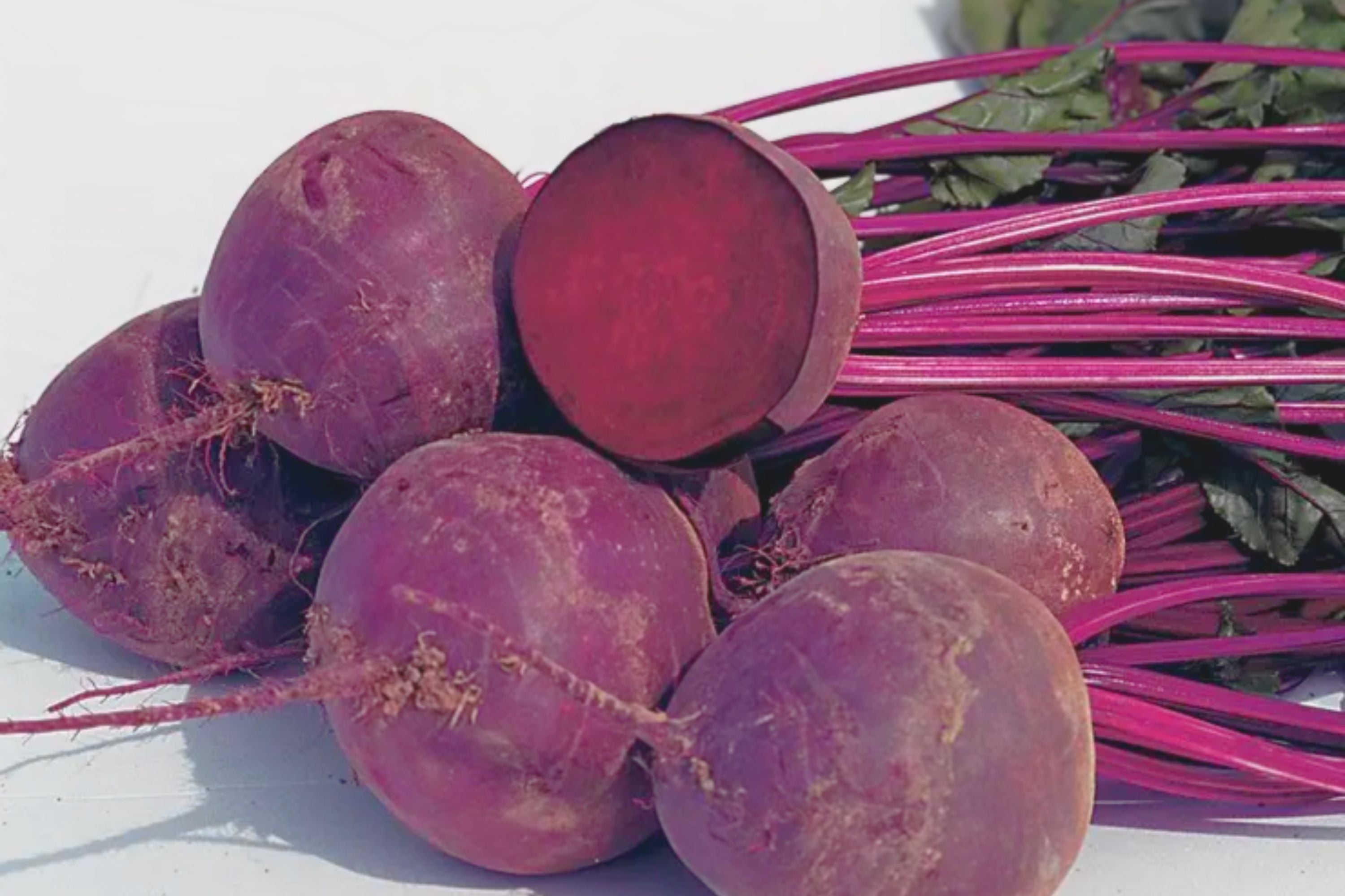 Bulls Blood Beet Seeds | Organic Non-GMO Beta vulgaris Heirloom Vegetable Seeds for Gardening