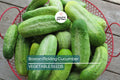75 Boston Pickling Cucumber Seeds – Heirloom, Non-GMO, Vining, Cucumis sativus for Pickling & Salads, Garden & Container Planting