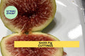 Smith Fig Cutting – 6-10 Inch Hardwood Propagation Plant for Ficus carica 'Smith' Heirloom Fruit Tree