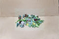 Assorted Succulent Cuttings - 25 Live Unrooted Mixed Varieties for Propagation & Indoor Garden