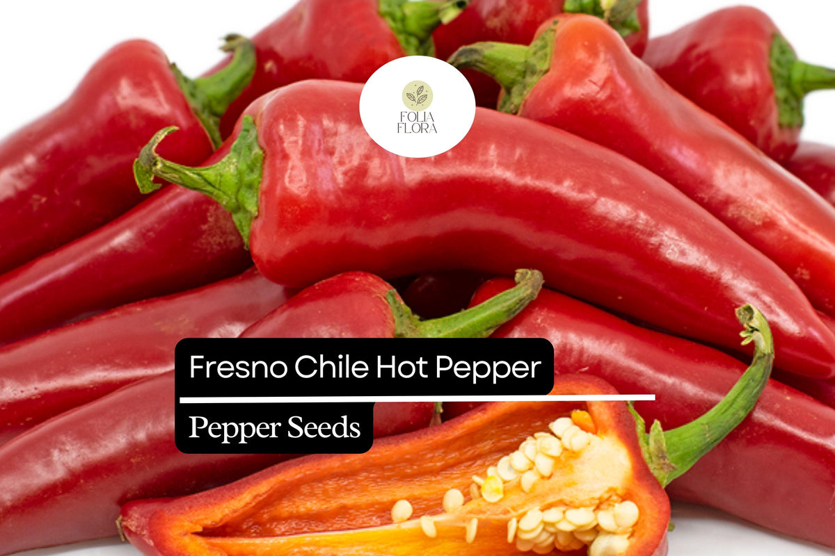 Fresno Chile Hot Pepper Seeds – Non-GMO Heirloom Capsicum annuum for Salsas & Cooking, Medium Heat, 250mg Packet