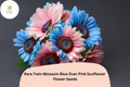 50pcs Rare Twin-Blossom Blue Pink Sunflower Seeds | Helianthus annuus Bicolor Flower for Garden & Cut Flowers