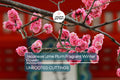 Japanese Ume Plum Cuttings – Fragrant Pink Flowers & Edible Fruits for Umeboshi & Umeshu, Prunus mume, Cold-Hardy Tree