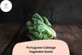 Bulk Portuguese Cabbage Seeds | Brassica oleracea | Heirloom Green Leafy Vegetable | Garden Planting