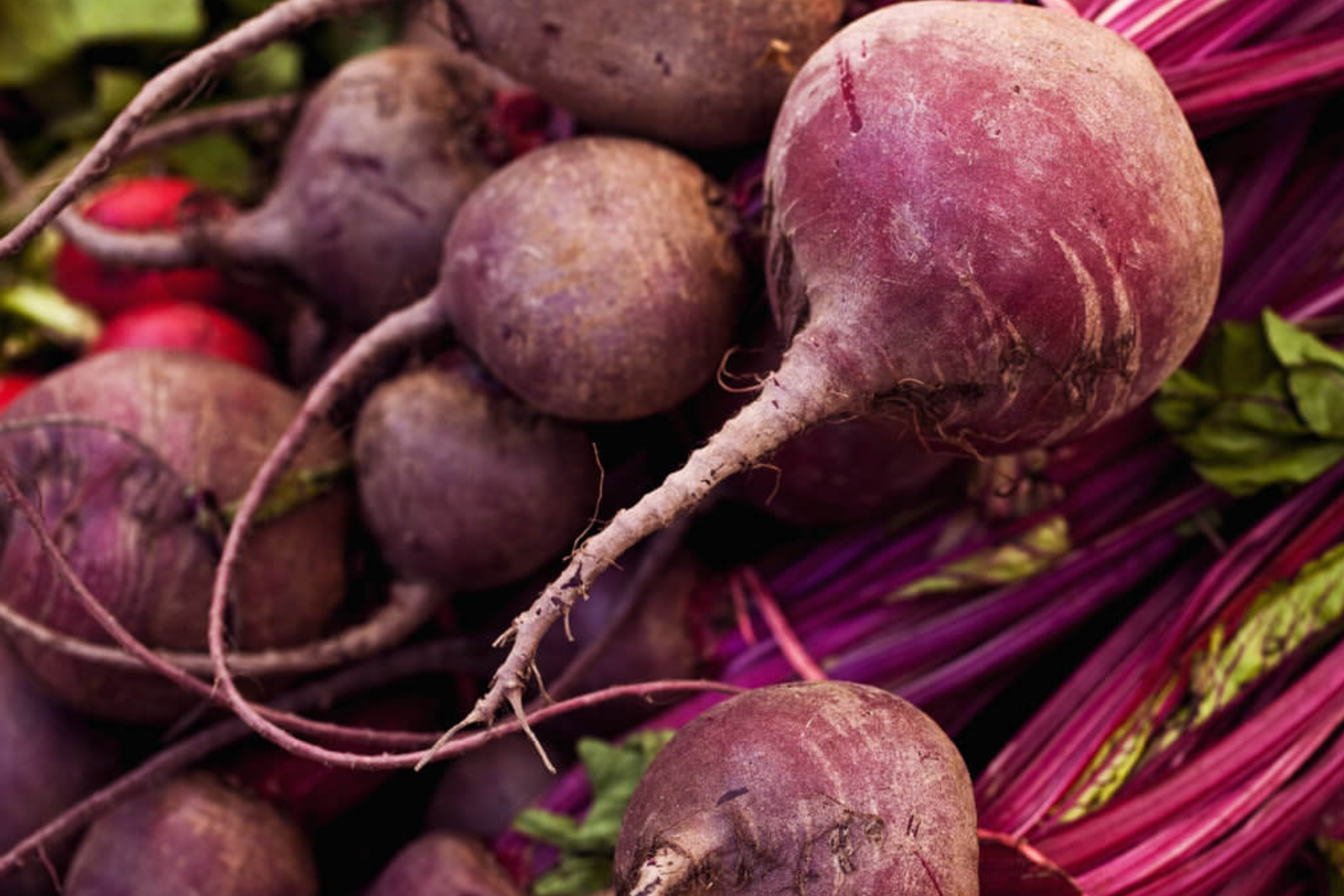Detroit Dark Red Beet Seeds - Non-GMO Vegetable Seeds Beta vulgaris, Early Dark Red, Home Garden, Fresh, Nutrient-Rich