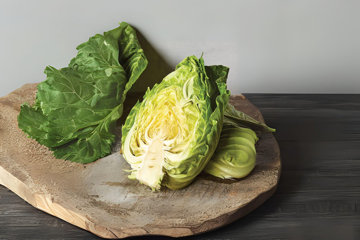 Early Jersey Wakefield Cabbage Seeds – Heirloom, Green, Conical Heads, Brassica oleracea var. capitata, 250 Pack
