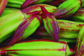 Hill Country Red Okra Seeds - Non-GMO Heirloom Variety Abelmoschus esculentus for Garden, Container, Edible Pods