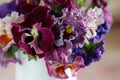 Moulin Rouge Pansy Seeds – Viola wittrockiana, 200+ Heirloom Cold-Hardy Flower Seeds for Containers & Garden