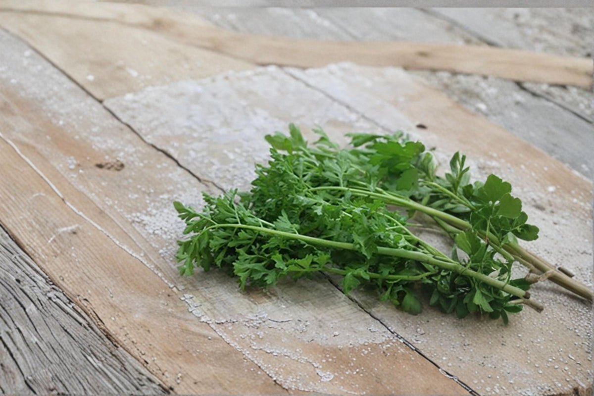 Pepper Cress Seeds | 75 Microgreen Herb Seeds | Lepidium sativum Edible Garden Microgreens & Greens