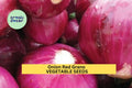 Red Grano Onion Seeds 3 Pack – Mild, Sweet Allium cepa for Salads & Cooking – Short-Day Vegetable Seeds for Home Garden