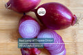 Red Long of Tropea Onion Seeds – Non-GMO Heirloom Gourmet Italian Bunching Onion Seeds