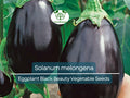 Eggplant Seeds Black Beauty Heirloom Non-GMO Organic, Solanum melongena, Dark Purple, 50 Pack
