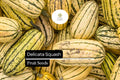 Delicata Squash Seeds – Heirloom Cucurbita pepo, Sweet Nutty Flavor, Easy-to-Grow Winter Squash for Roasting & Baking, 20 Seeds