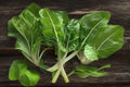 Swiss Chard Fordhook Seeds | Heirloom Vegetable, Green Leaves & White Stalks, Beta vulgaris subsp. cicla
