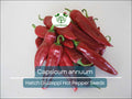 250 mg Hatch Giuzeppi Hot Pepper Seeds, Capsicum annuum, Heirloom, Medium to Hot Spicy Peppers for Gardening, Cooking & Sauces