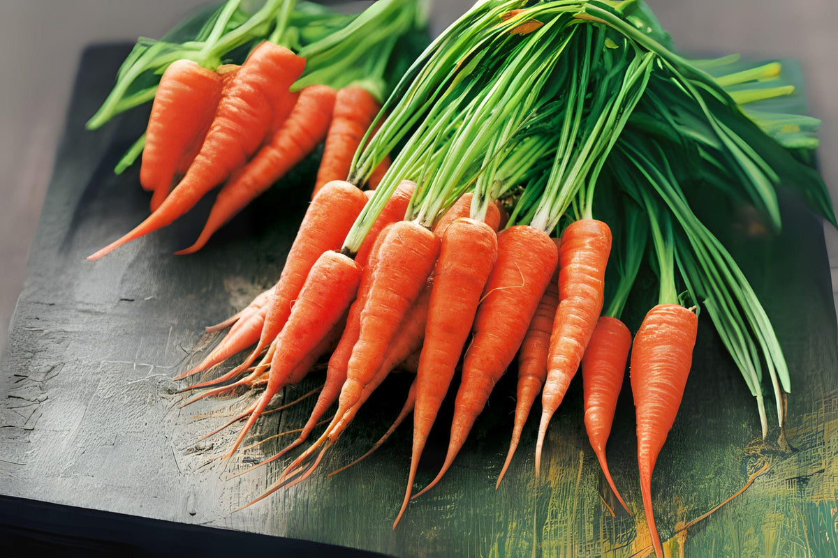 Chantenay Red Cored Carrot Seeds – Heirloom, Sweet & Crunchy, Daucus carota, 800 Pack