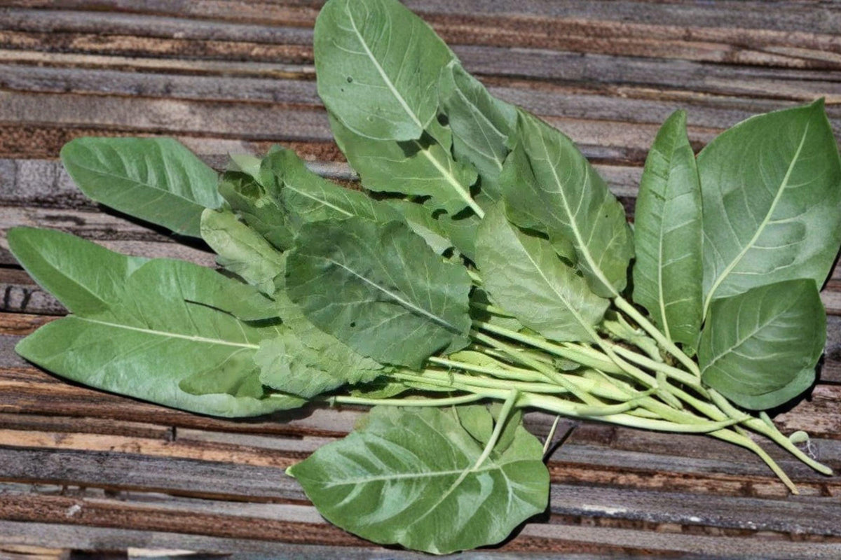 Vates Collards Seeds – Heirloom Brassica Oleracea Var. Viridis, Compact, Cold Tolerant, 300 Seeds