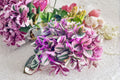 Tradescantia Nanouk Unrooted Cuttings - Pink Variegated Houseplant - Tradescantia albiflora 'Nanouk'